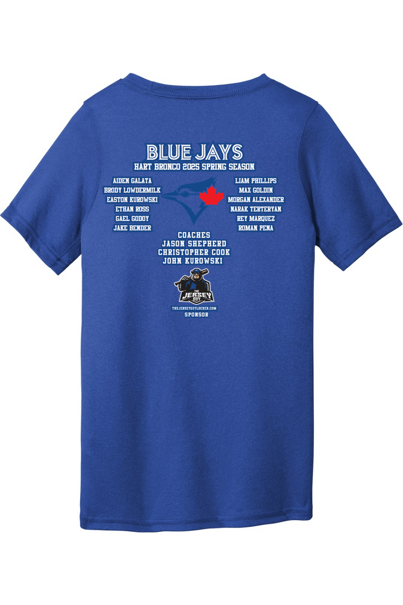 Hart Blue Jays Nike Youth Legend Dry Fit Practice Tee