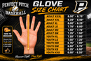 Perfect Pitch Pro Series Baseball Batting Gloves